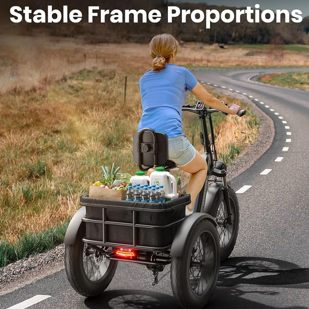 Electric Fat Trike 48V 1000W snowmobile Electric three-wheeled fat ebike 20-24inch